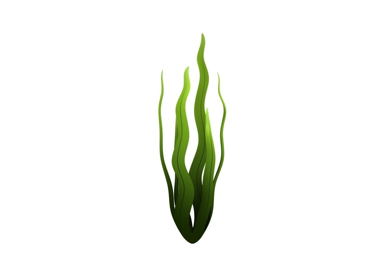 Seaweed Low-poly 3D model_3