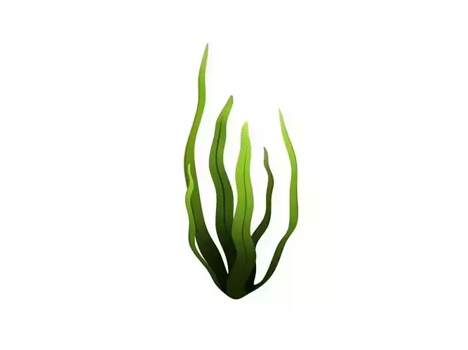 Seaweed Low-poly 3D model