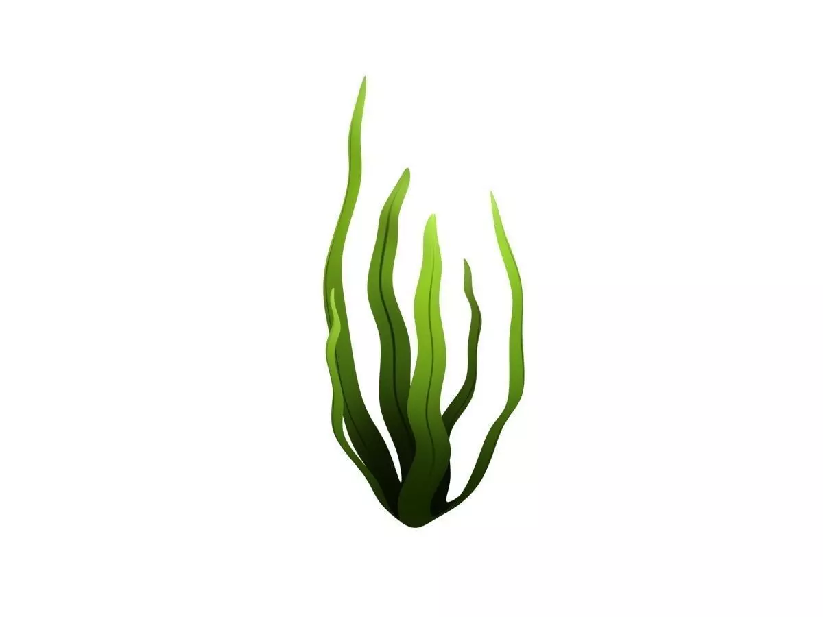 Seaweed Low-poly 3D model_0