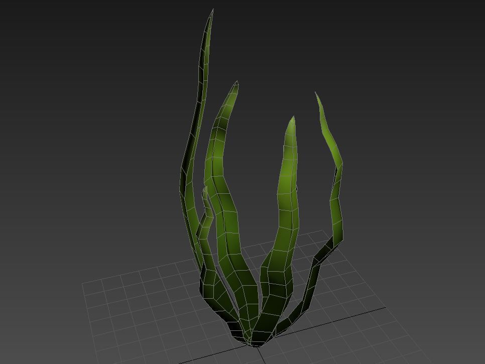 Seaweed Low-poly 3D model_14