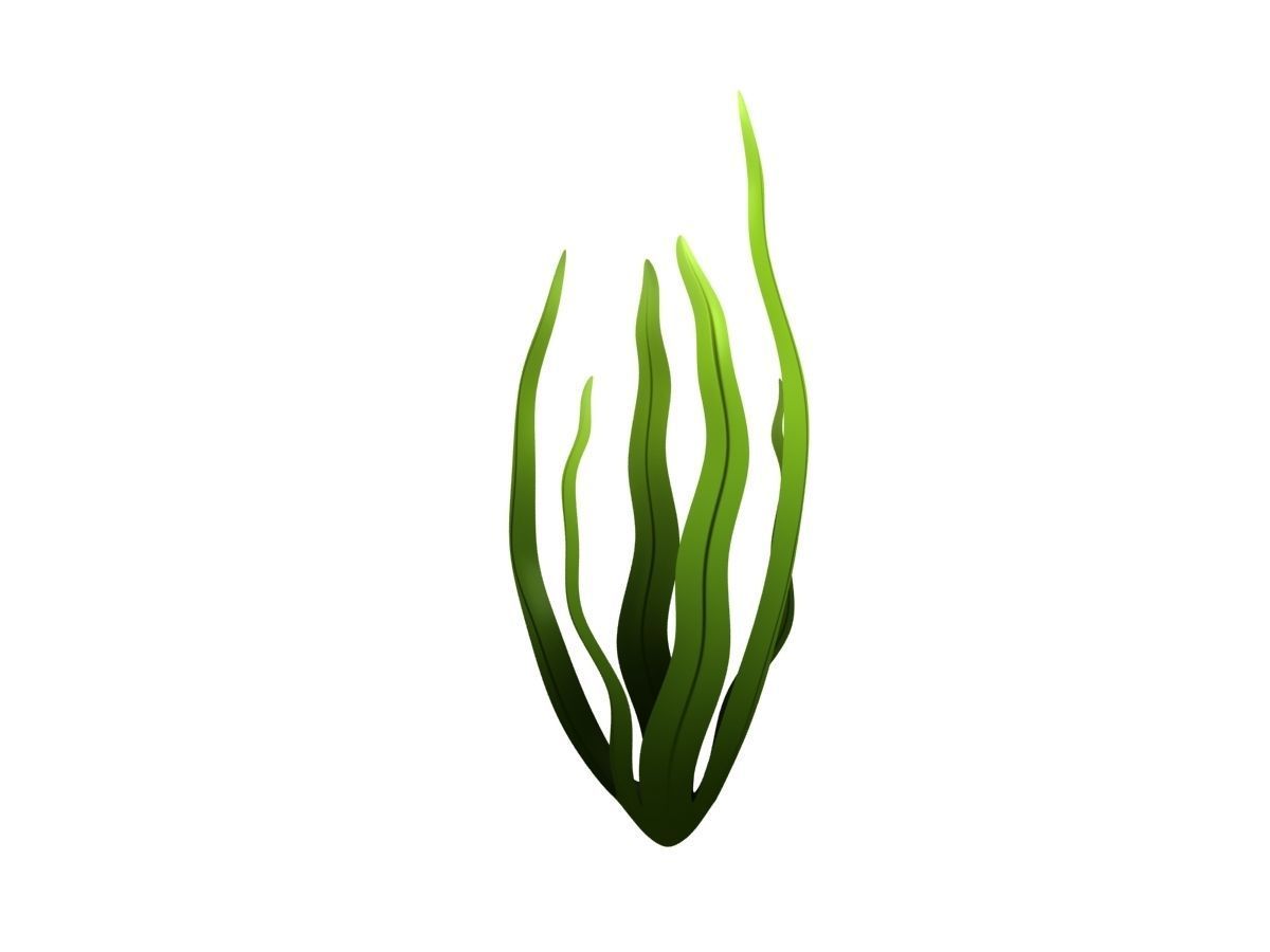 Seaweed Low-poly 3D model_4