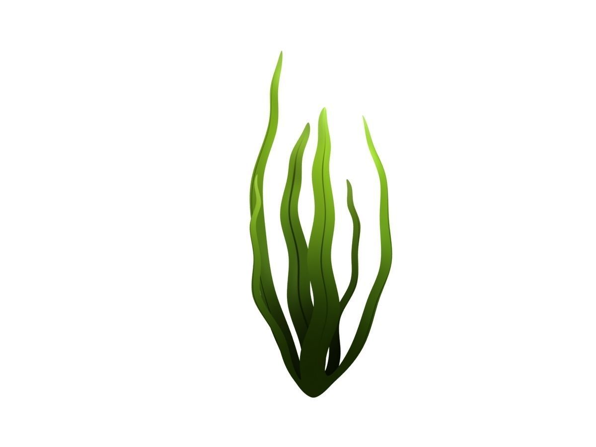 Seaweed Low-poly 3D model_1