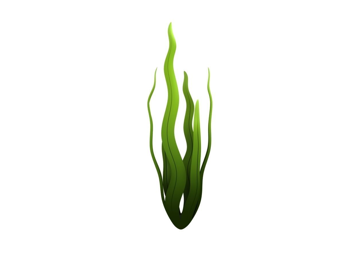 Seaweed Low-poly 3D model_2