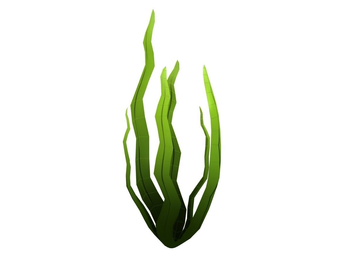 Seaweed Low-poly 3D model_8