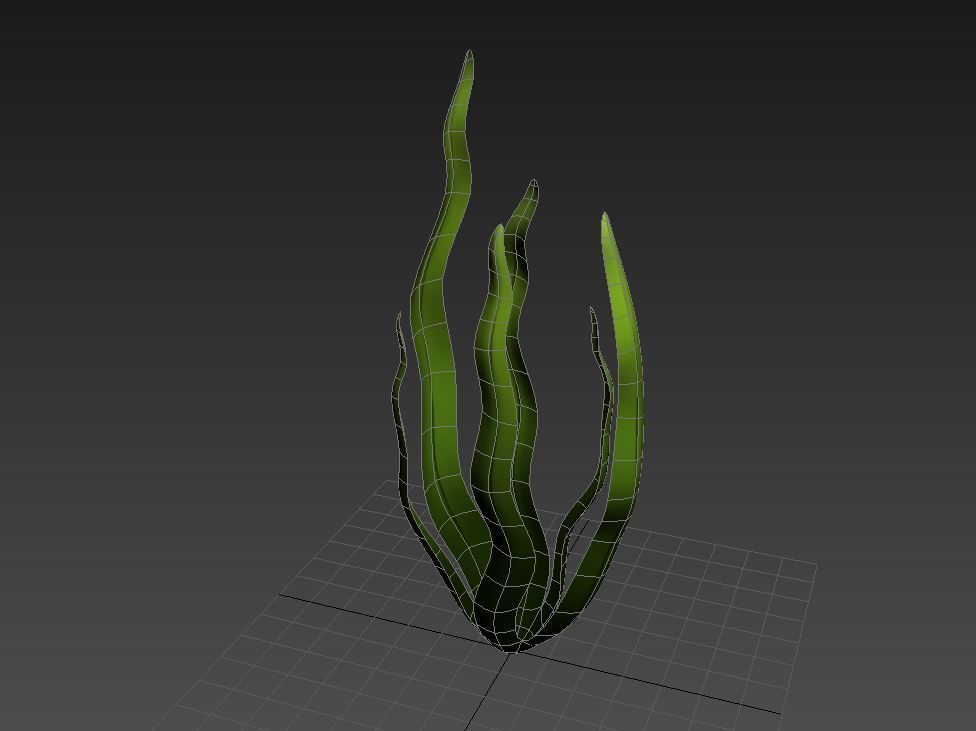 Seaweed Low-poly 3D model_11