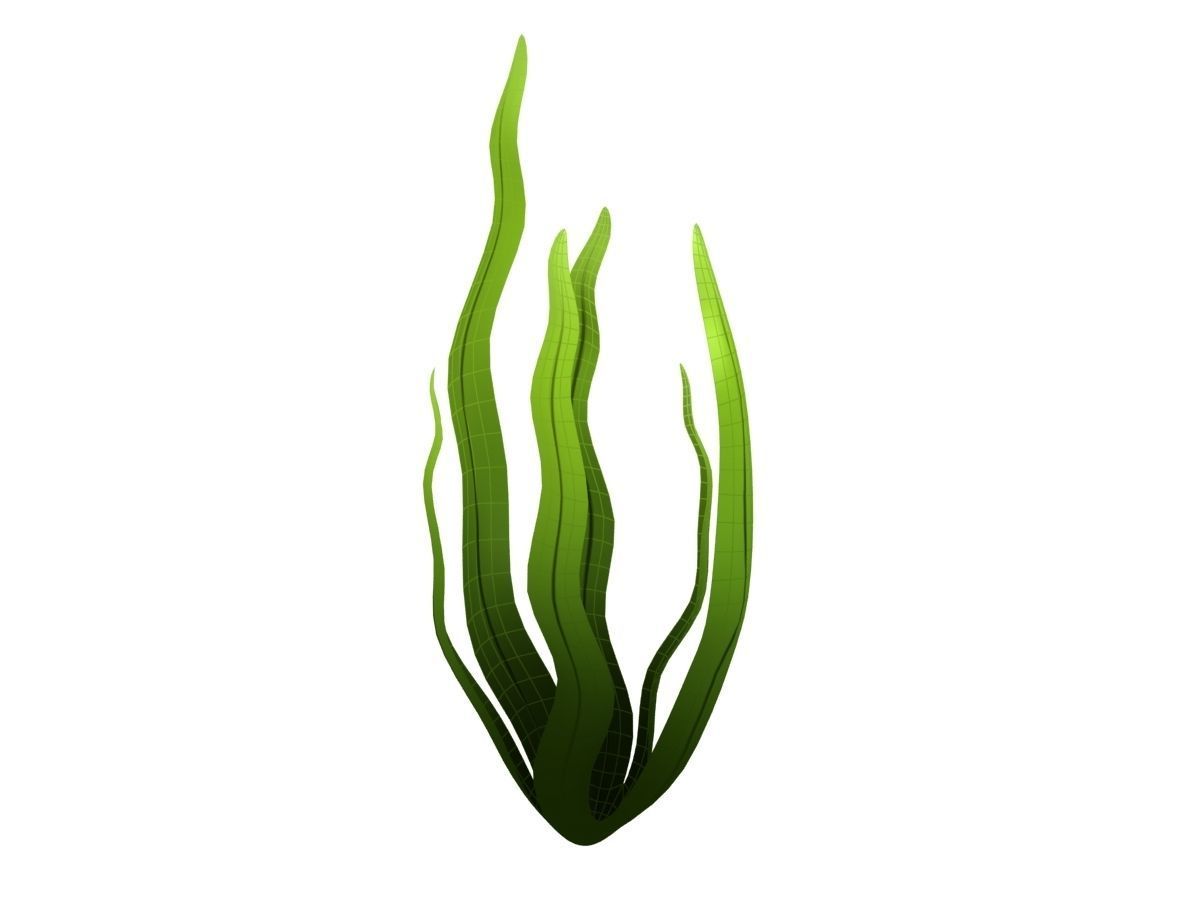 Seaweed Low-poly 3D model_9