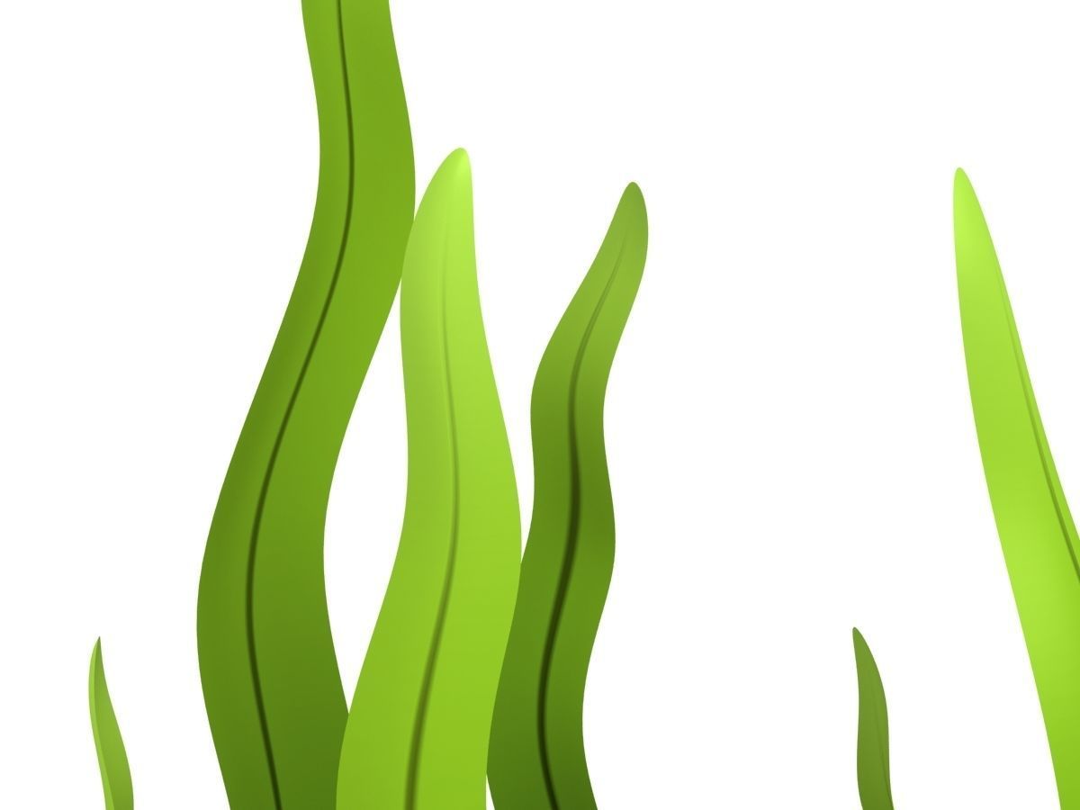 Seaweed Low-poly 3D model_7