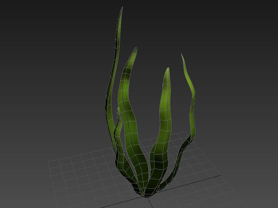 Seaweed Low-poly 3D model_13