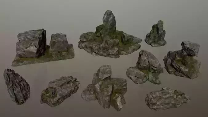 forest rocks