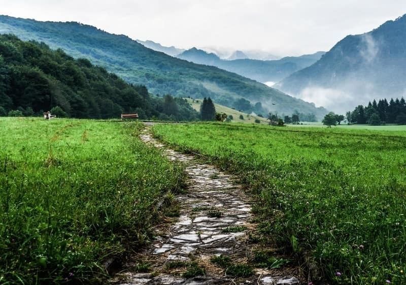 candlelit dinner Free 3D model_4