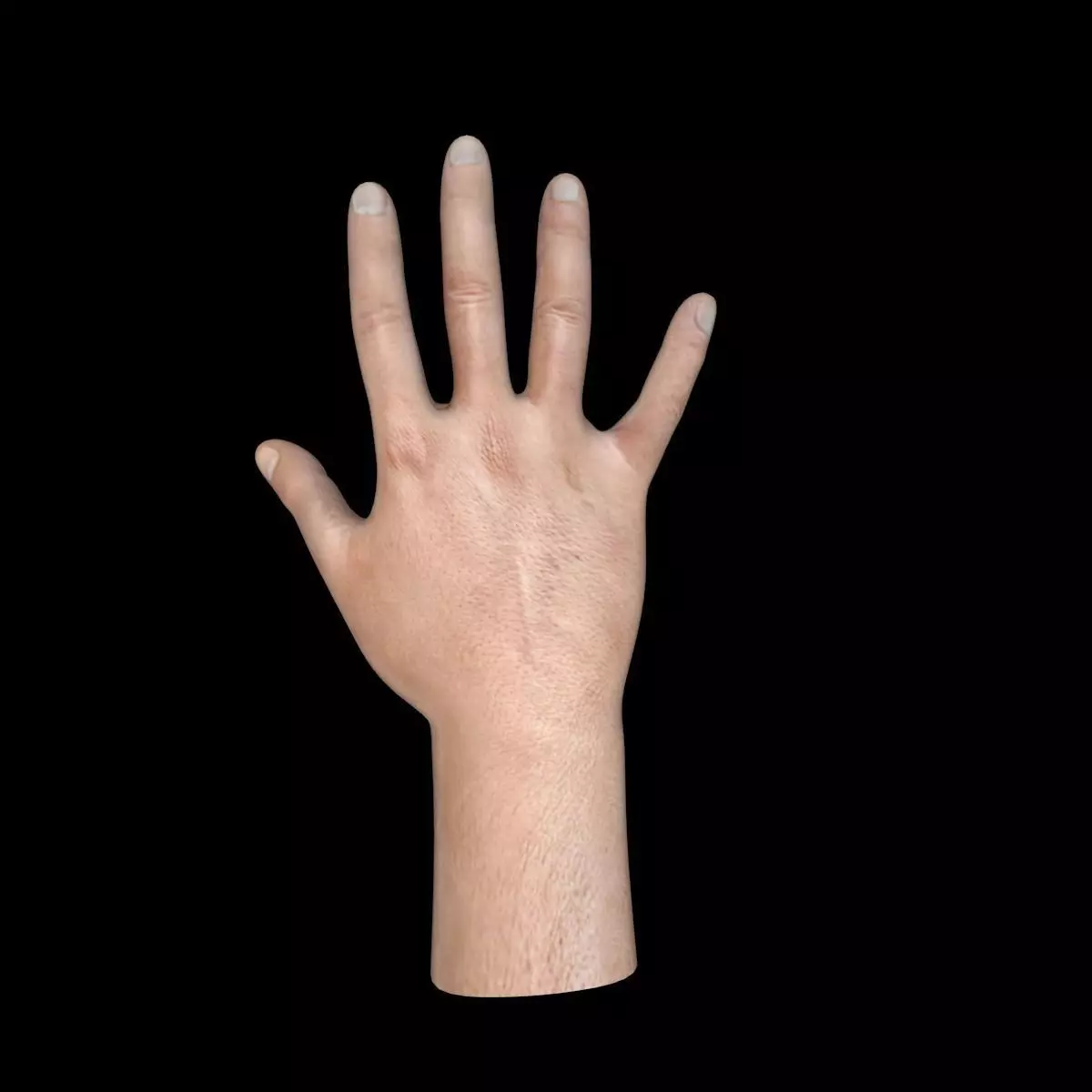 Man Hand Free low-poly 3D model