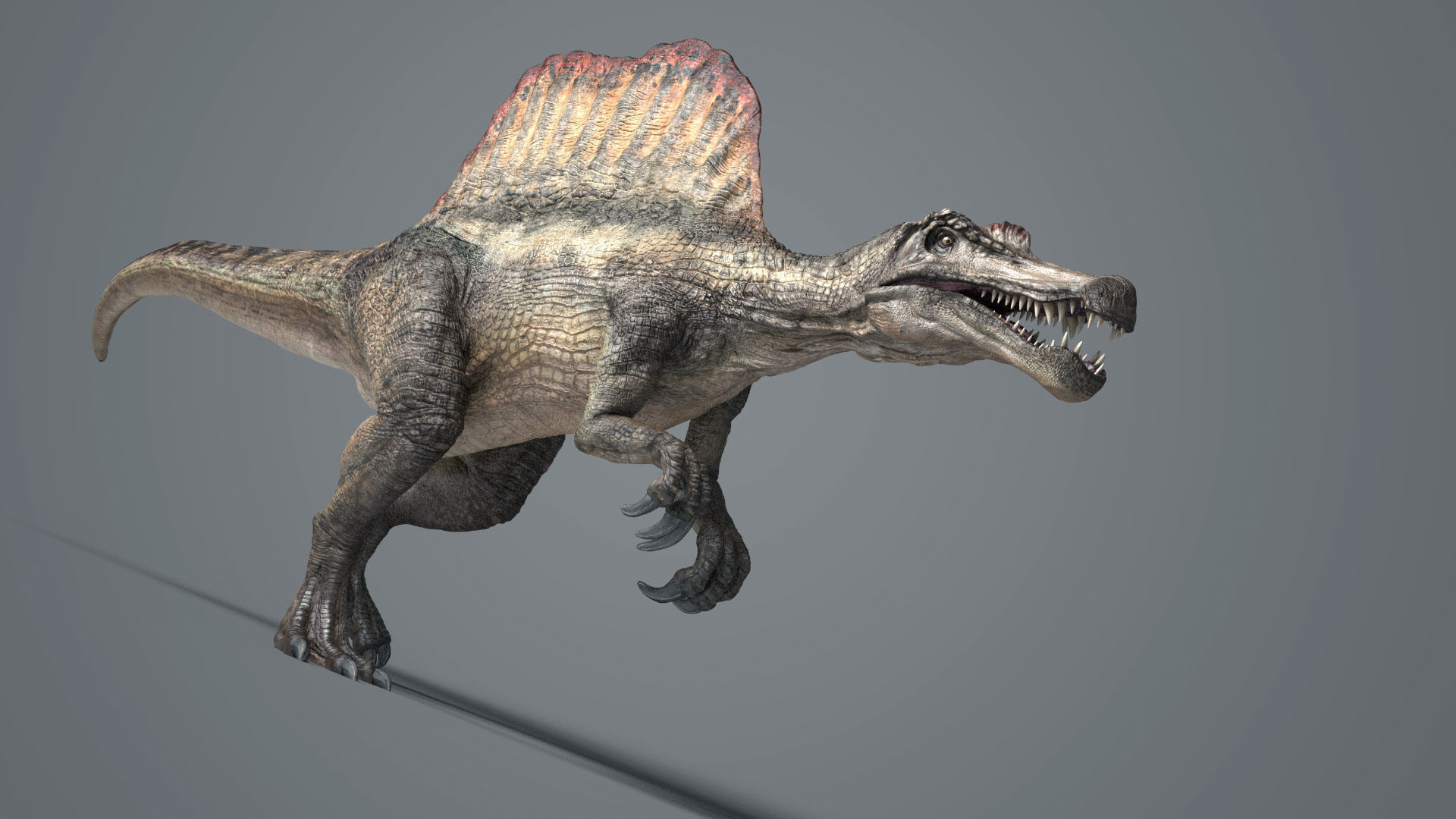 Spinosaurus-Rig dinosaur Low-poly 3D model_6
