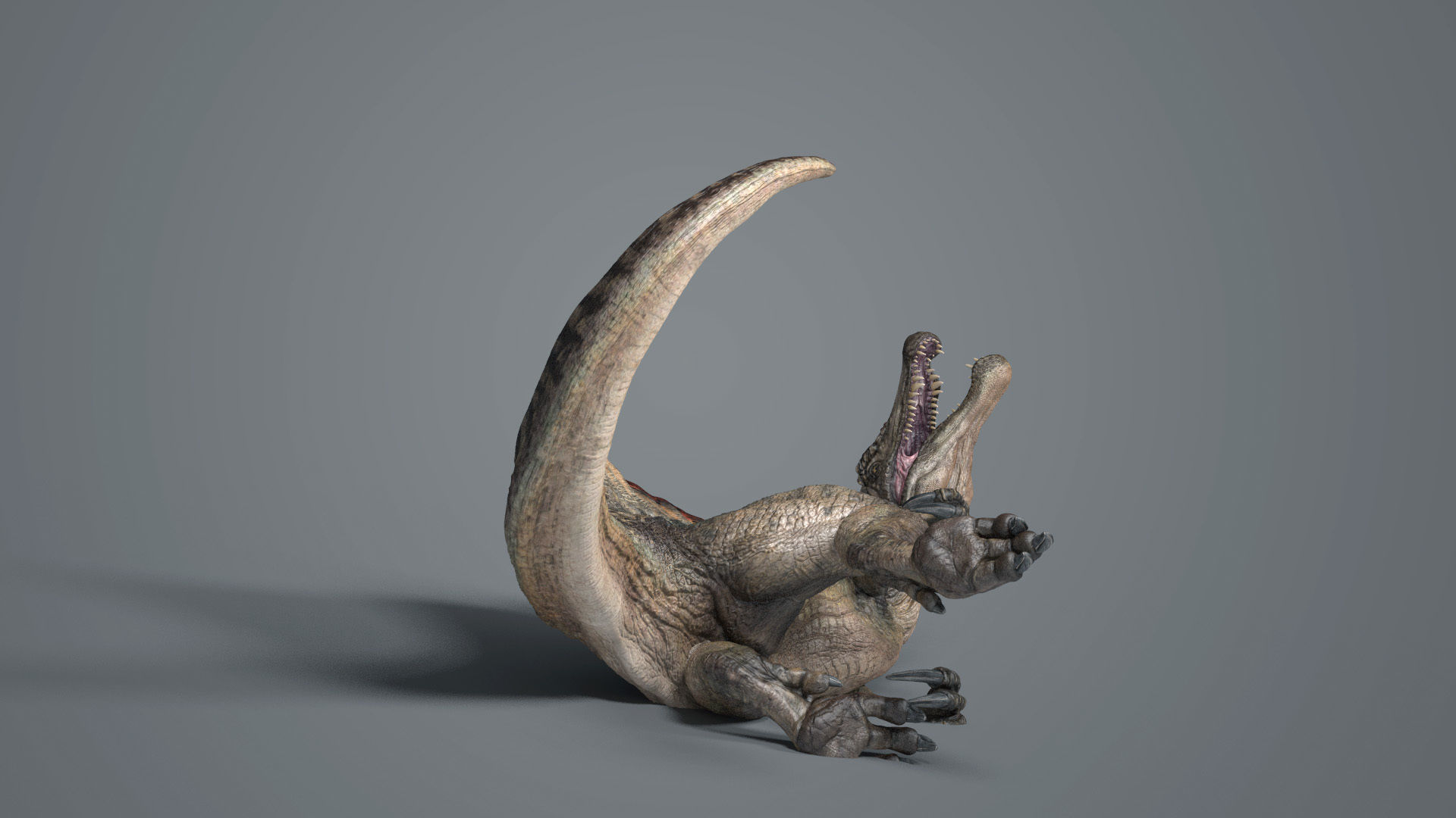 Spinosaurus-Rig dinosaur Low-poly 3D model_3