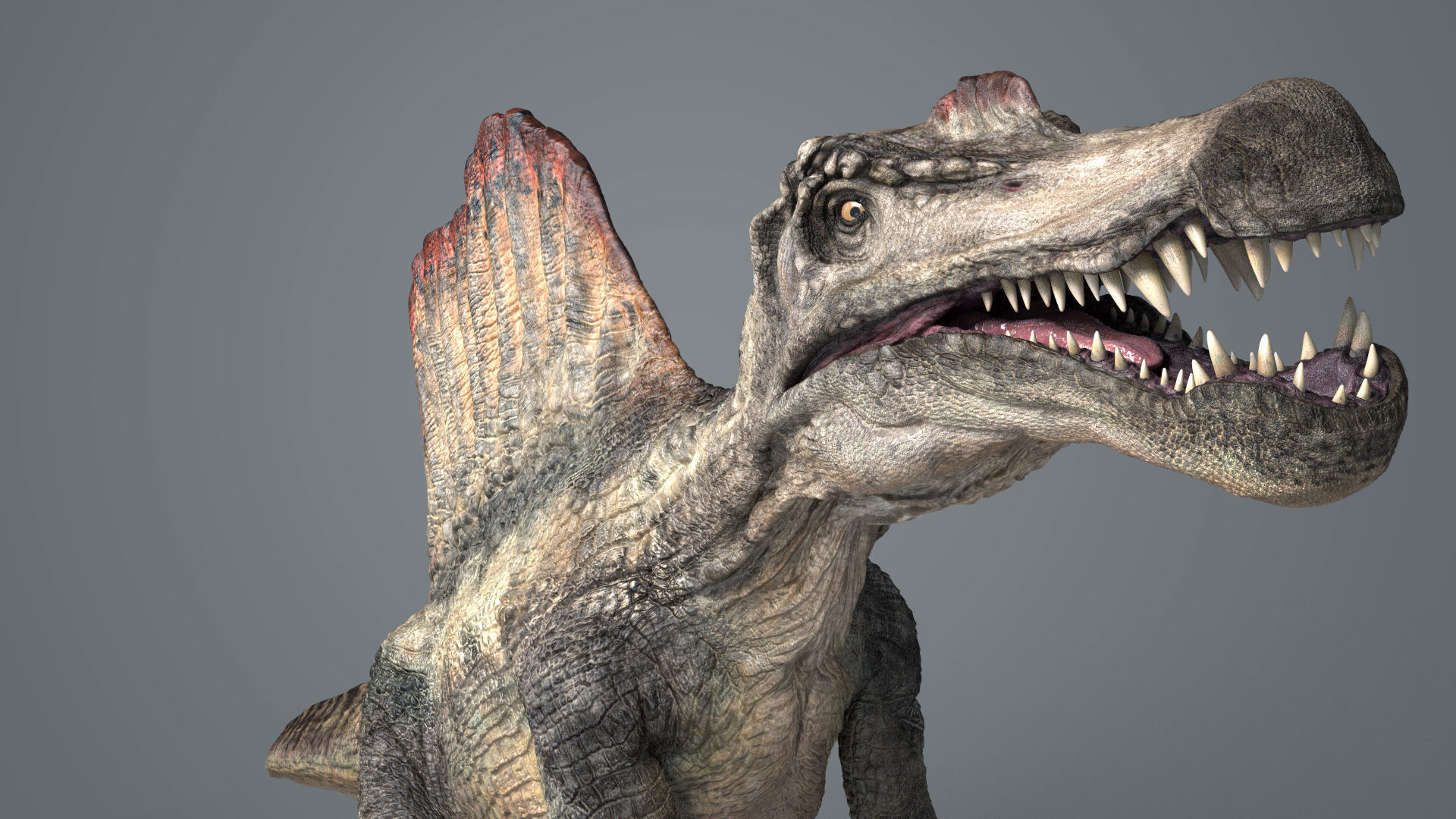 Spinosaurus-Rig dinosaur Low-poly 3D model_1