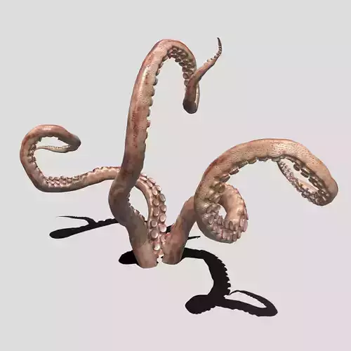 tentacle octopus tentacles 3D model