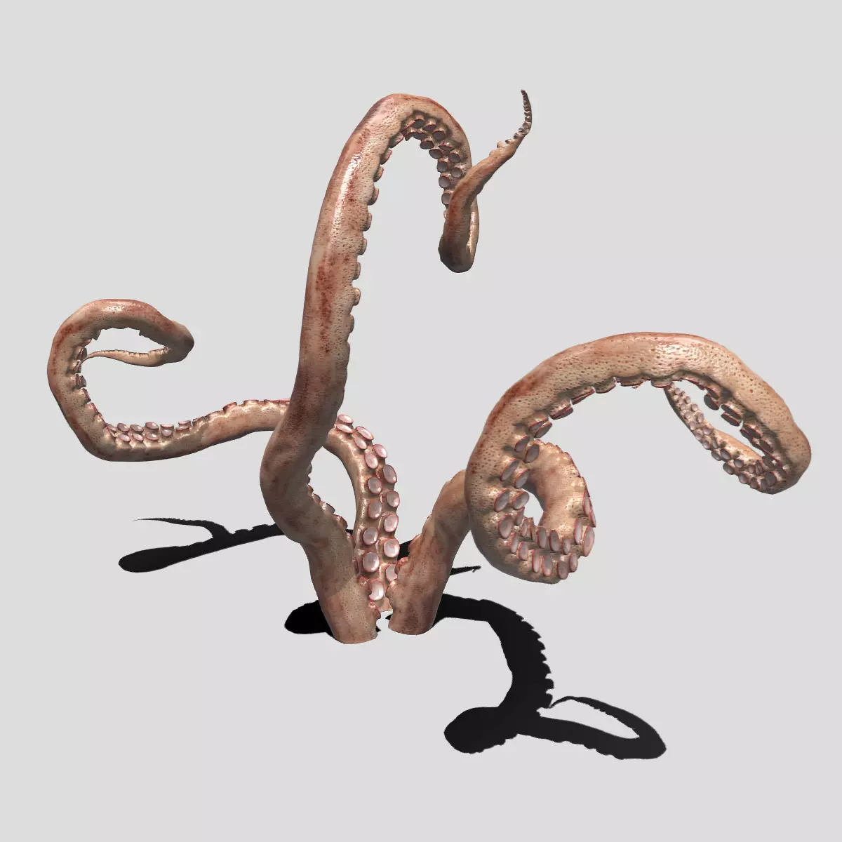 tentacle octopus tentacles 3D model_0