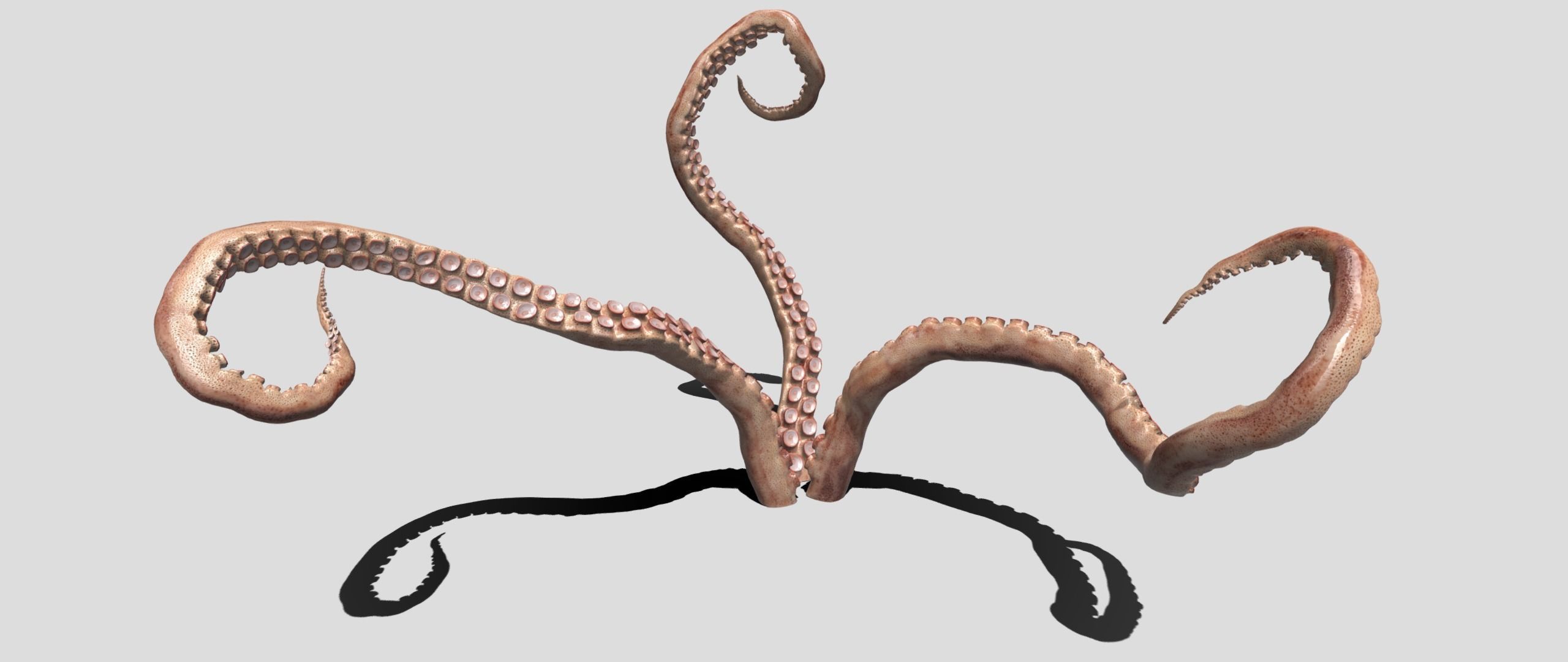 tentacle octopus tentacles 3D model_2