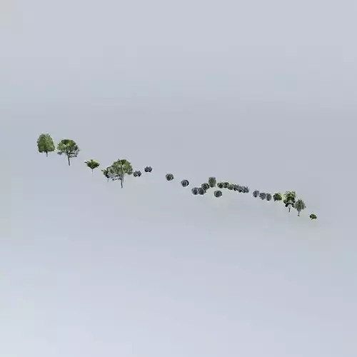 Green group of trees