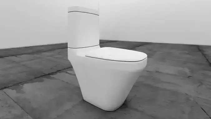 Wc porcelana blanco Low-poly 3D model