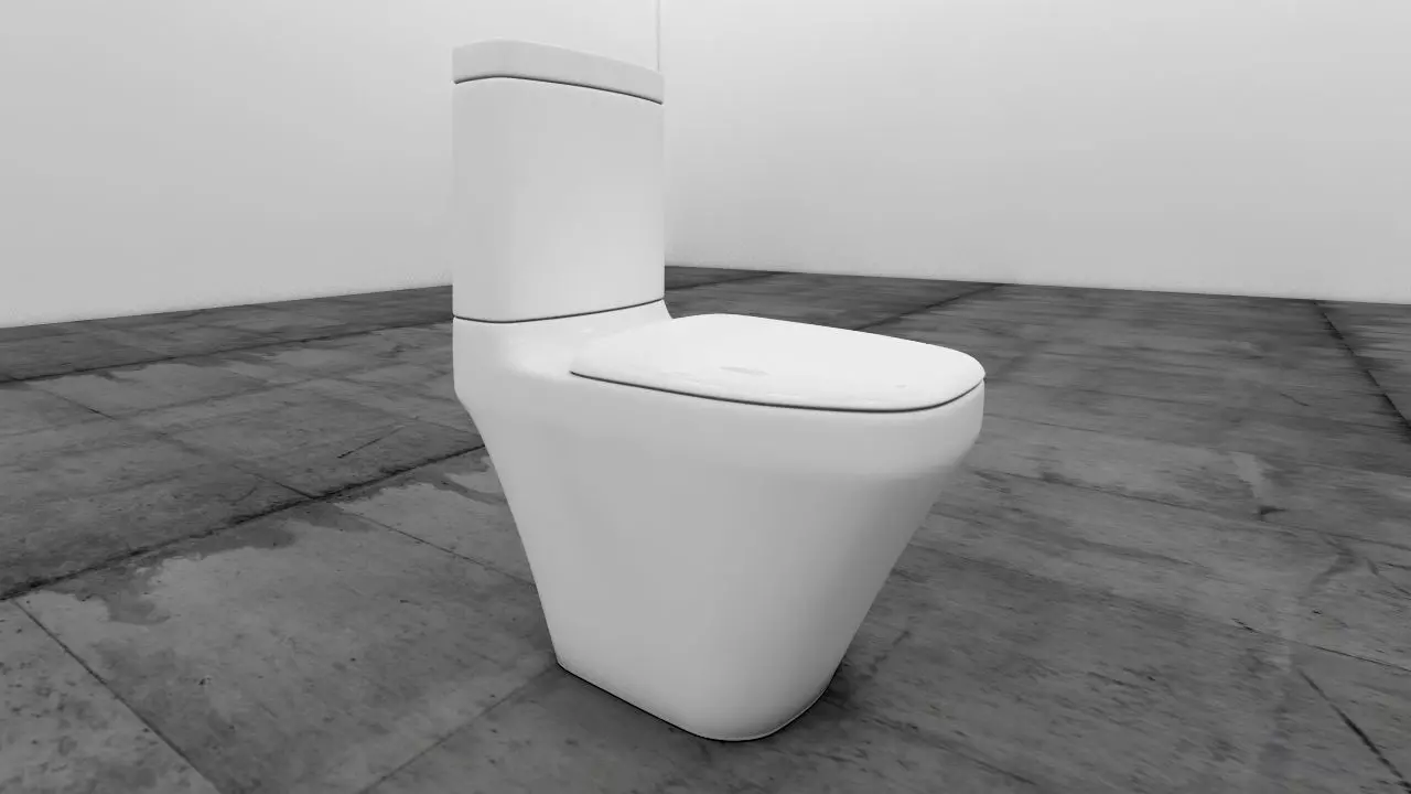Wc porcelana blanco Low-poly 3D model_0