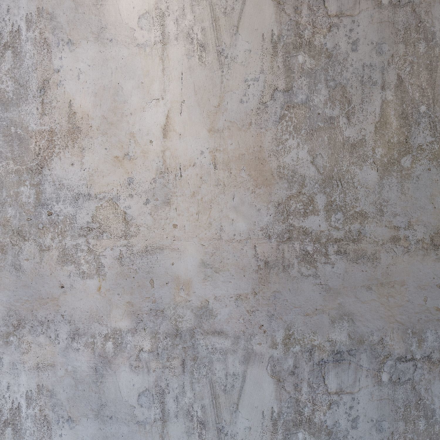 stucco 739 Texture_2