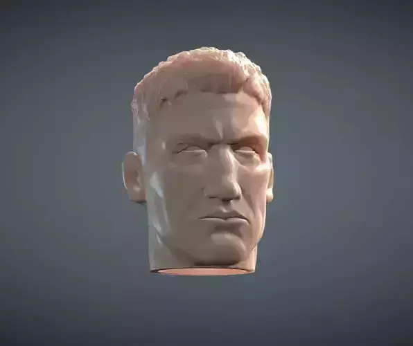 Punisher inspirited Figure Head 3D print model