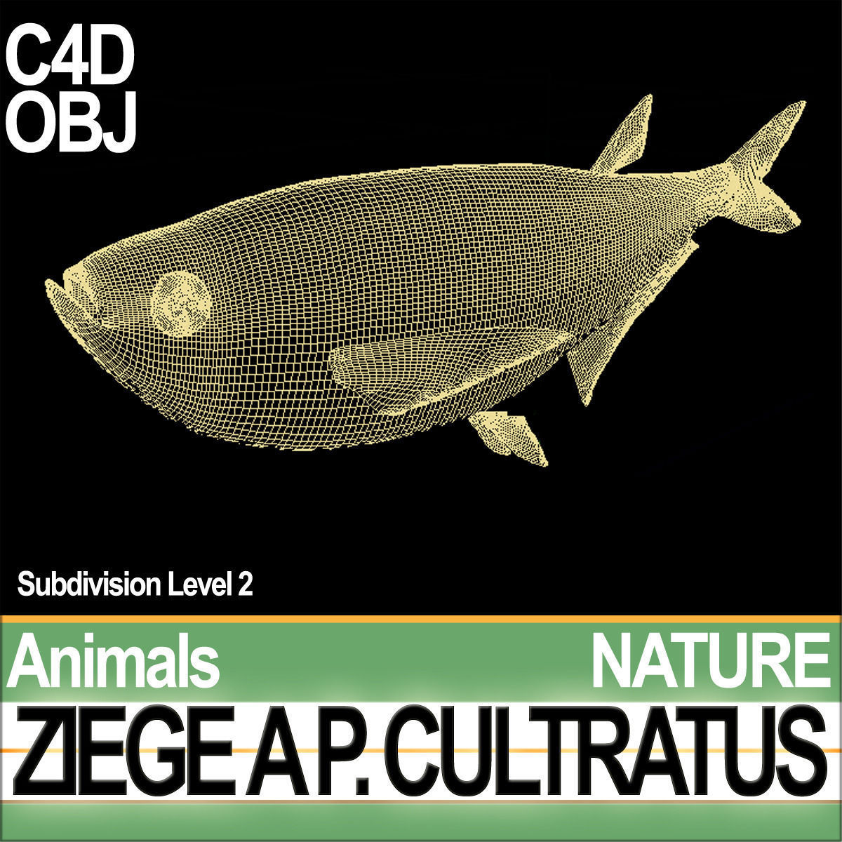 Ziege A animals ap cultivatus 3D model_6