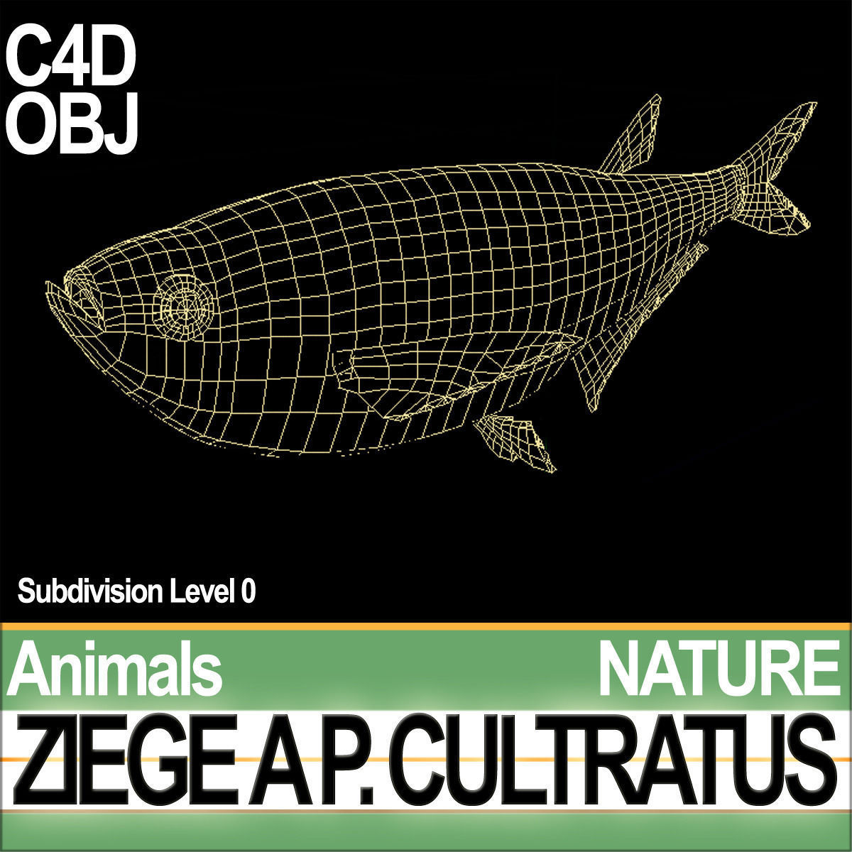 Ziege A animals ap cultivatus 3D model_4