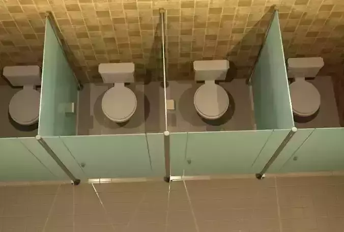 Revit Cubical Toliet