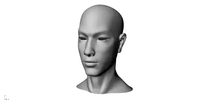 Realistic White Male Head 