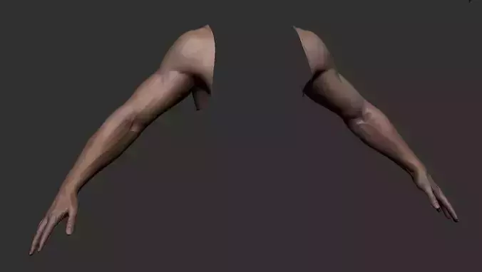 FPS Man Hand Sculpt   -   UV  -  Poly painted  Low-poly 3D model