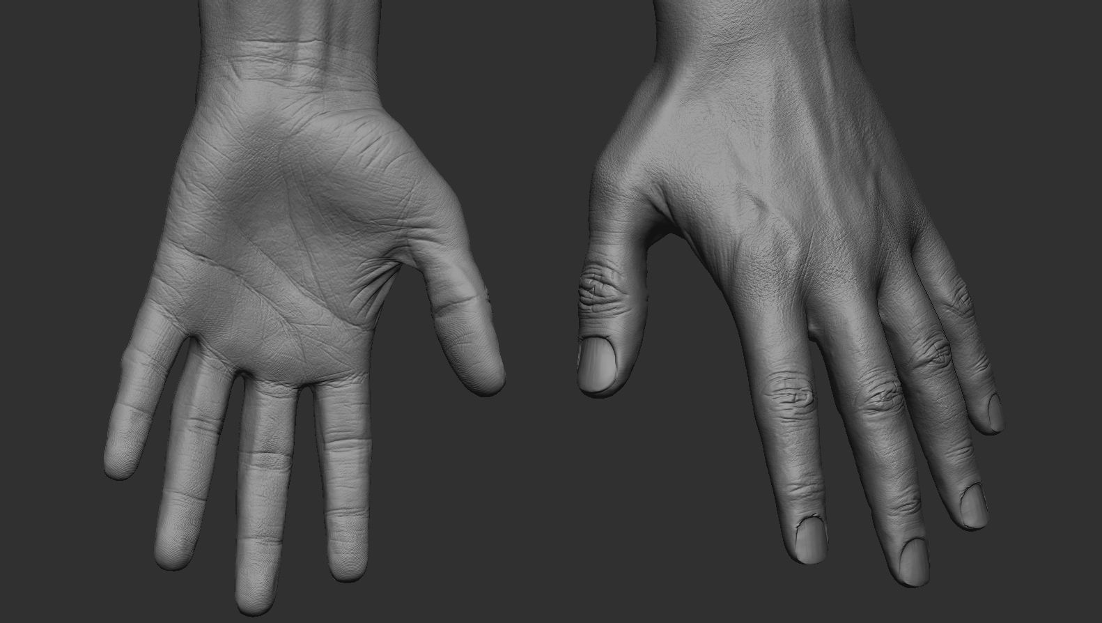 FPS Man Hand Sculpt   -   UV  -  Poly painted  Low-poly 3D model_9