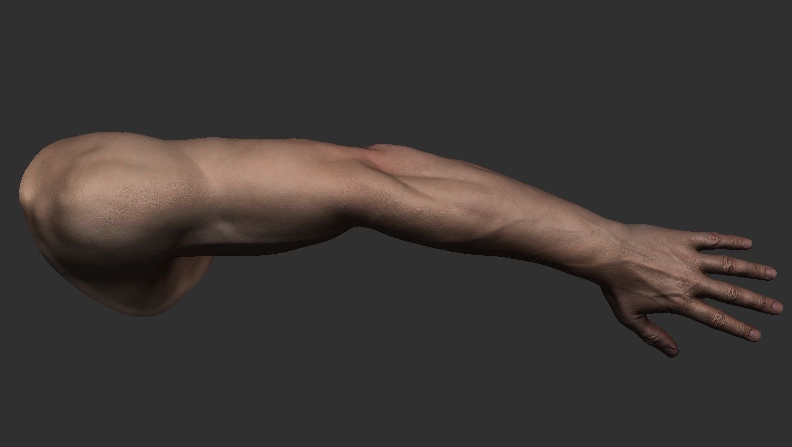 FPS Man Hand Sculpt   -   UV  -  Poly painted  Low-poly 3D model_6