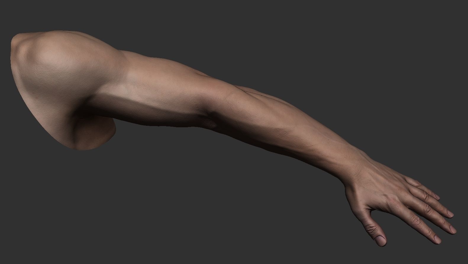 FPS Man Hand Sculpt   -   UV  -  Poly painted  Low-poly 3D model_4