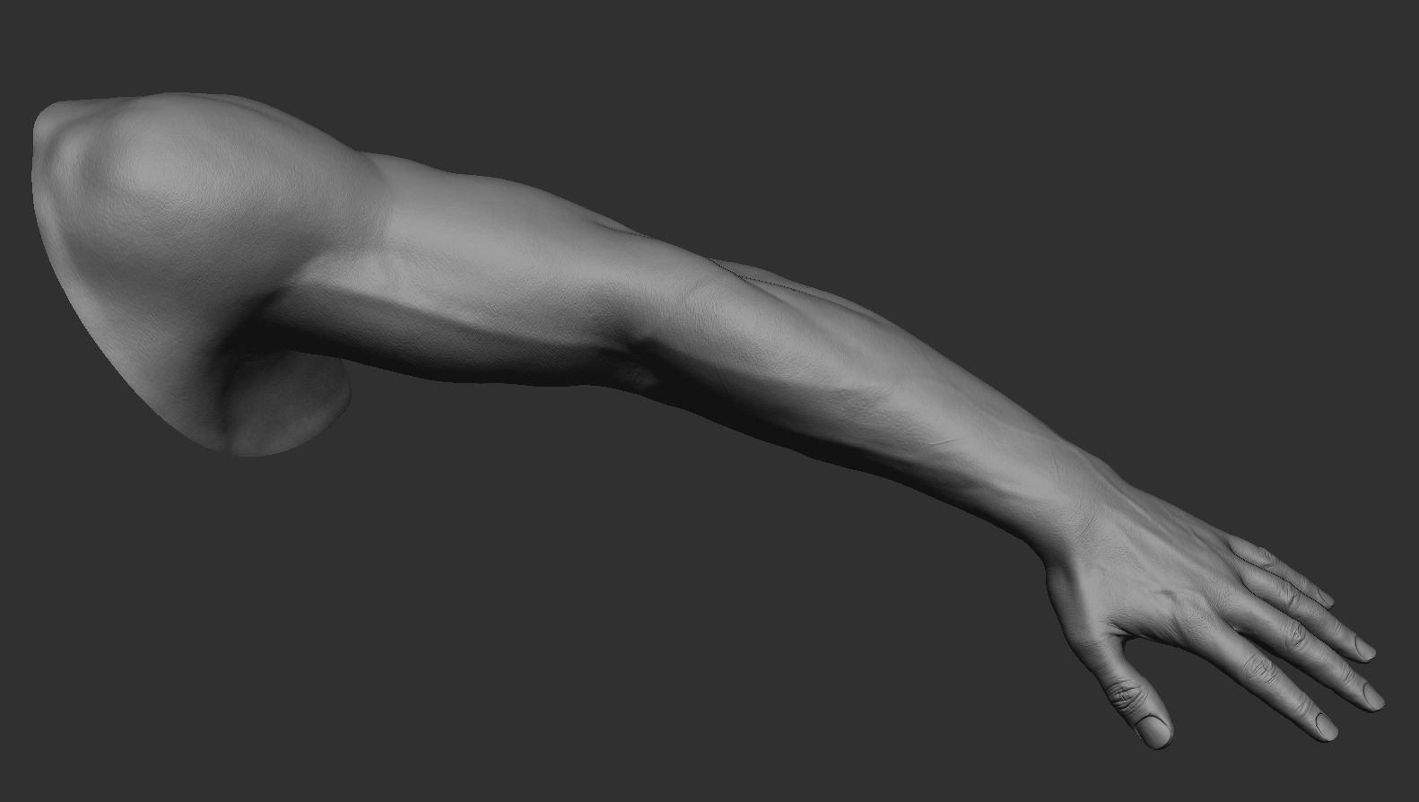 FPS Man Hand Sculpt   -   UV  -  Poly painted  Low-poly 3D model_5