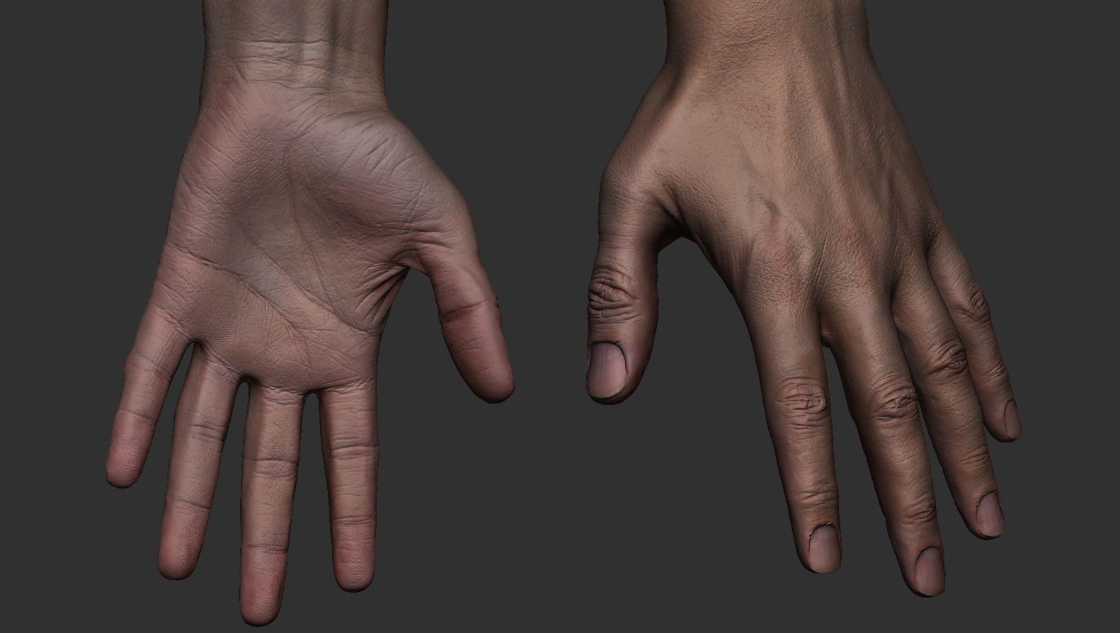 FPS Man Hand Sculpt   -   UV  -  Poly painted  Low-poly 3D model_8