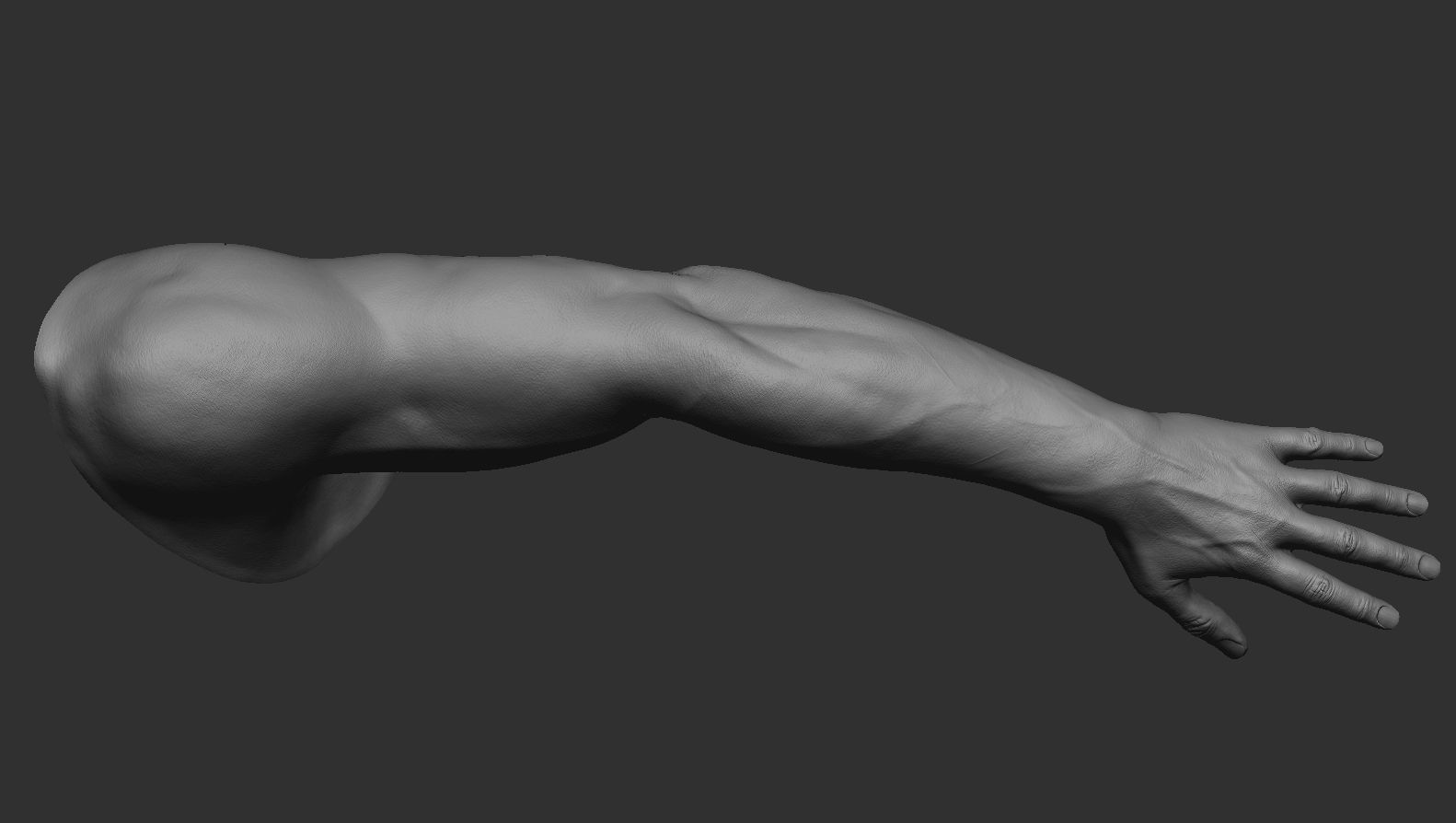 FPS Man Hand Sculpt   -   UV  -  Poly painted  Low-poly 3D model_7