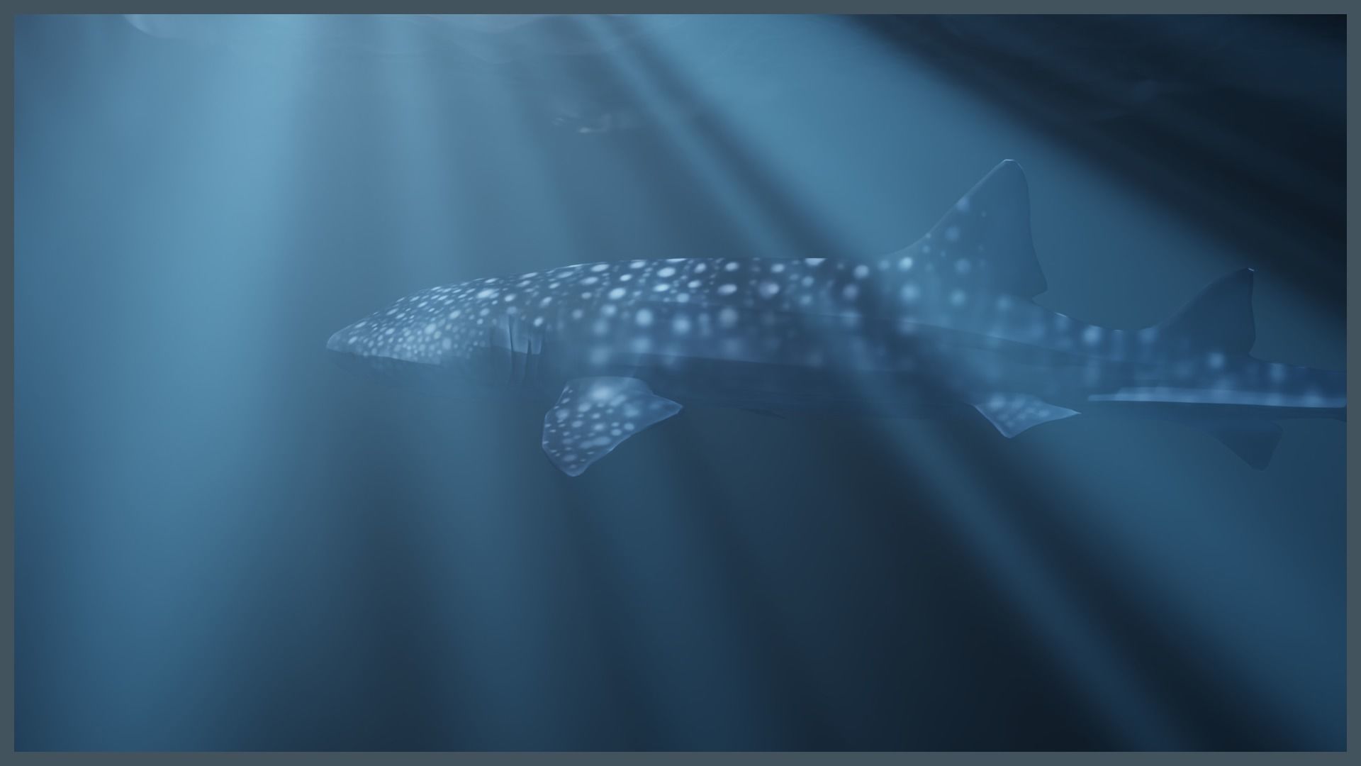 Deep Ocean Environment Low-poly 3D model_8