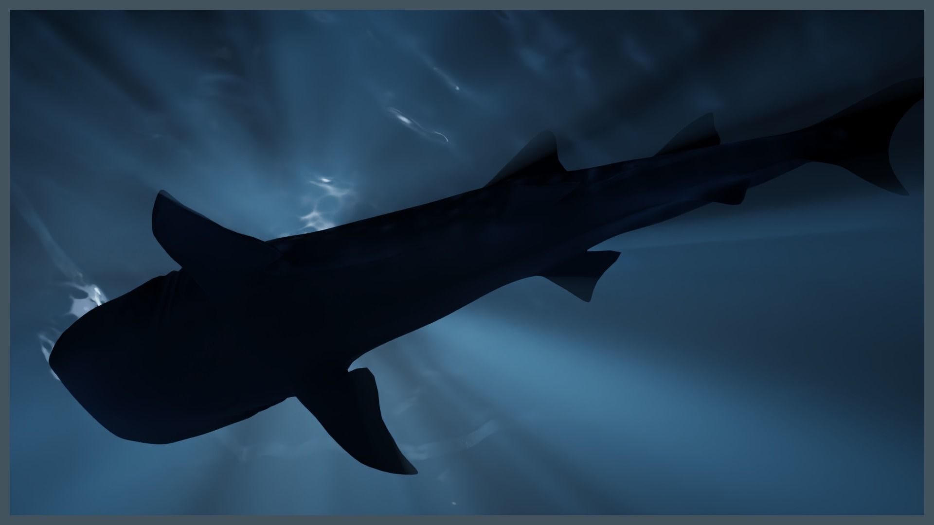 Deep Ocean Environment Low-poly 3D model_3