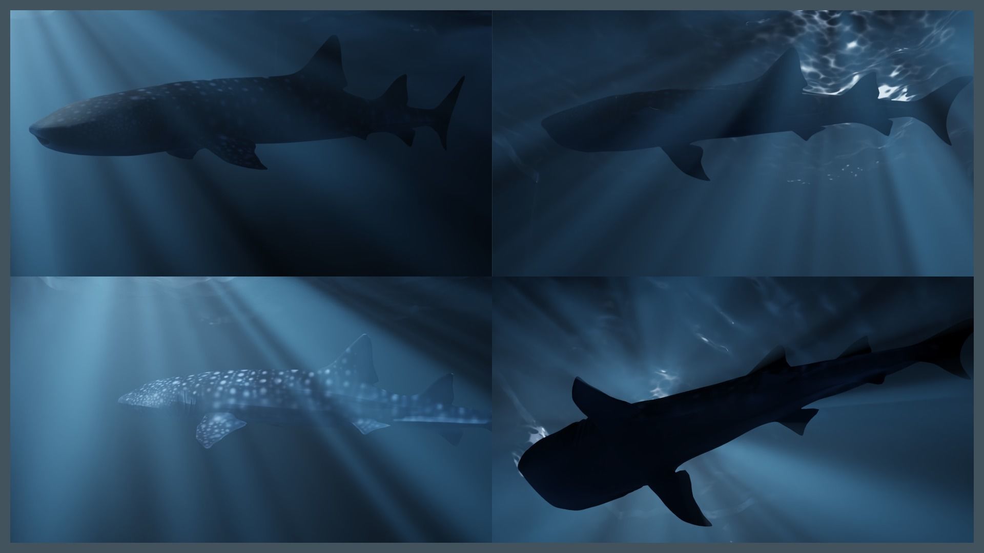 Deep Ocean Environment Low-poly 3D model_4
