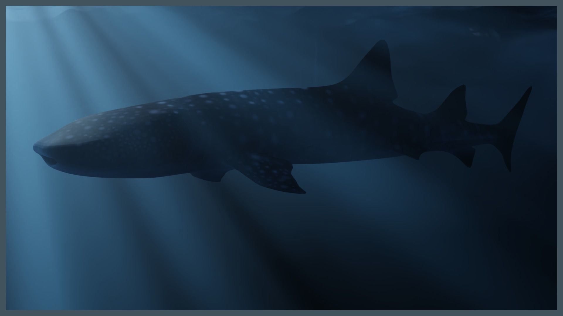 Deep Ocean Environment Low-poly 3D model_9