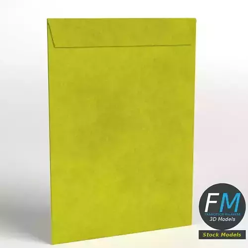 Large yellow envelope