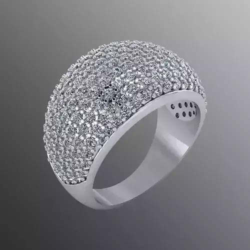 Ring bi 28 3D print model