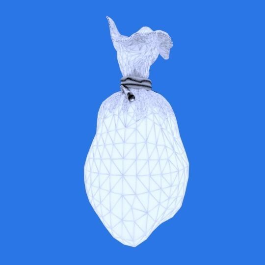 Money Bag 3D model_4