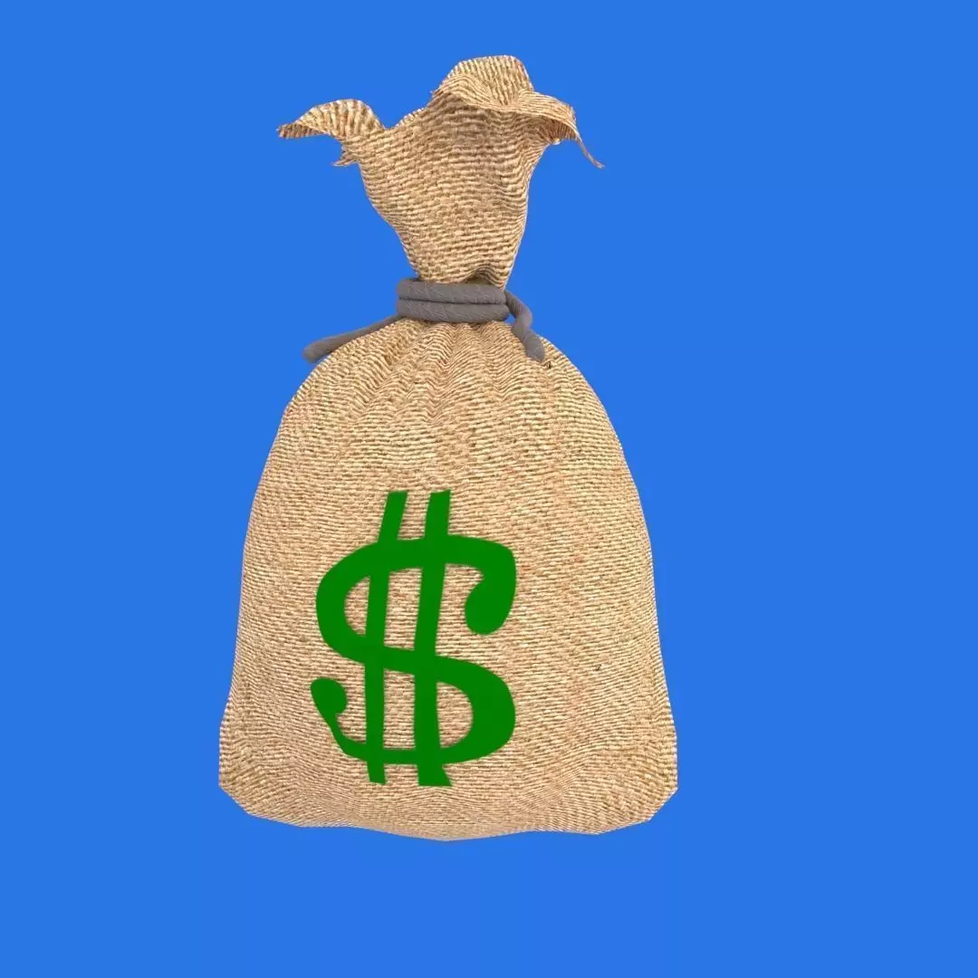 Money Bag 3D model_0