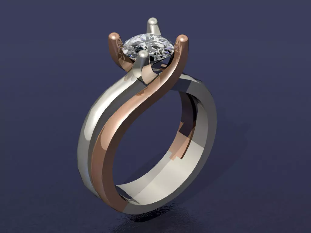 Ring 18 3D print model
