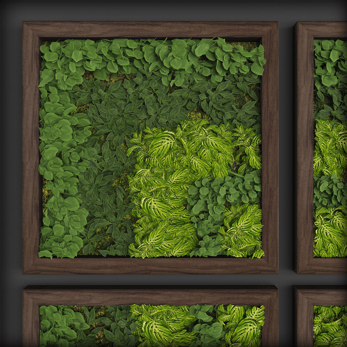 Vertical gardening 08 Low-poly 3D model_1
