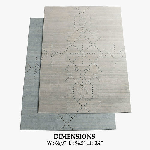 Sparkler Rugs 244 3D model
