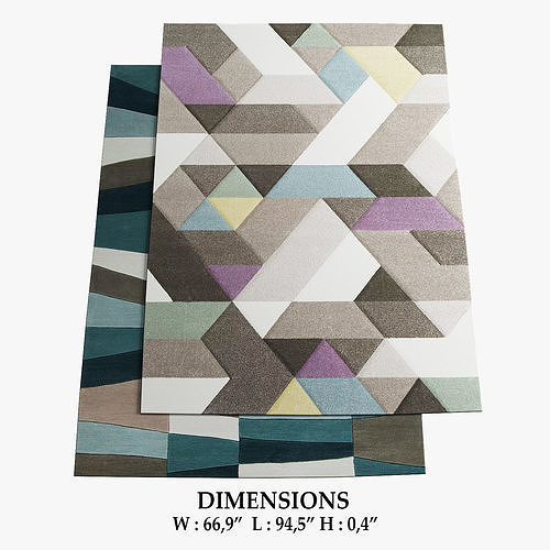 ALLMODERN Rugs 253 3D model
