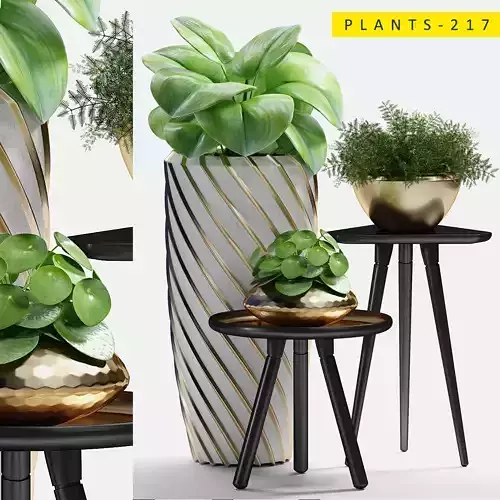 PLANTS 217